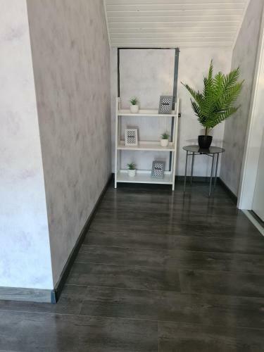 Orgona Apartman