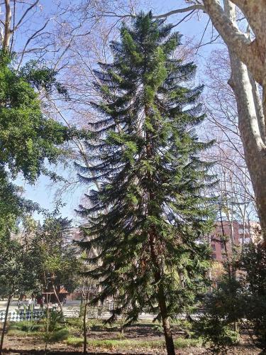 Apartamento Verboom