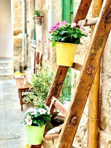 Apartamento Il Vecchio Cortile