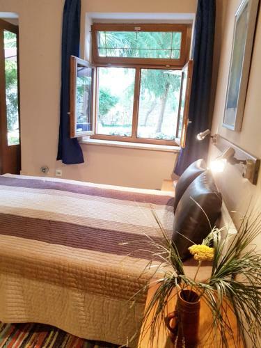 Studio Apartment Bruno