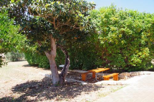 Il Giardino Del Barone