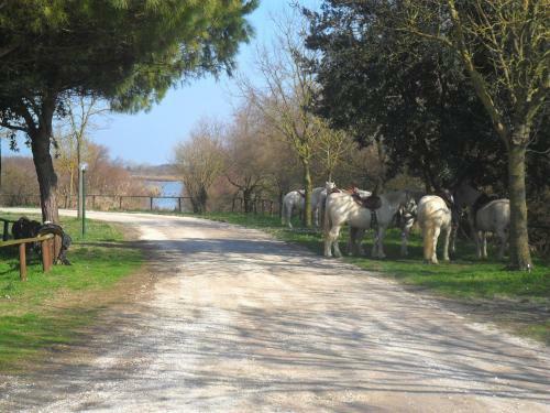 Hotel Rurale Cannevi�