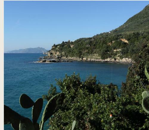 Ionian View Exclusive Villa