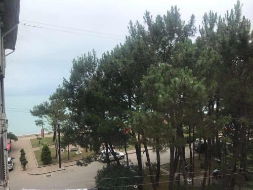 Apartment Of Kobuleti