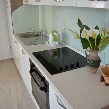 Apartments Leon