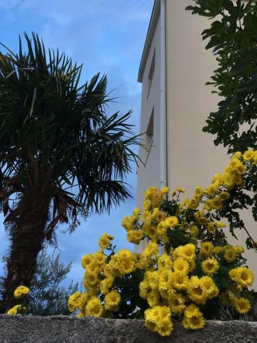 Golden View Apartments