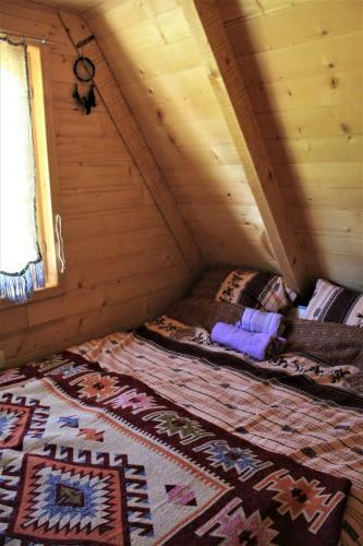 Log - Cabin Hope