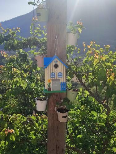 Holiday Home N&s