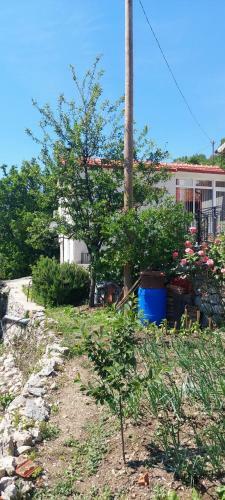 Sotoni?i Home