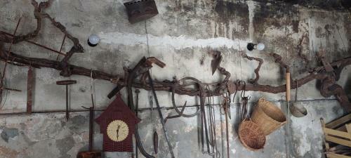 Sotoni?i Home
