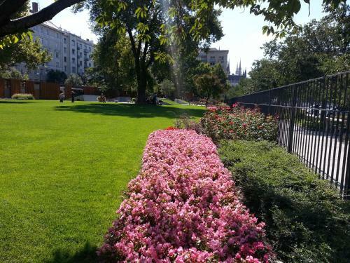 Balaton Delux Apartment