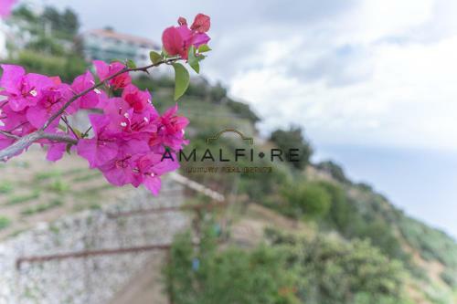 Maison Mor�