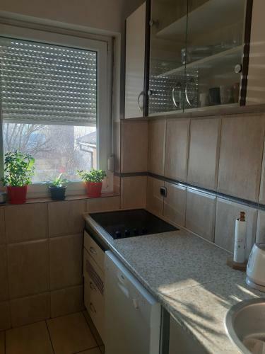 Apartamento Zevs
