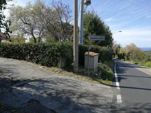 Gli Ulivi Del Conero