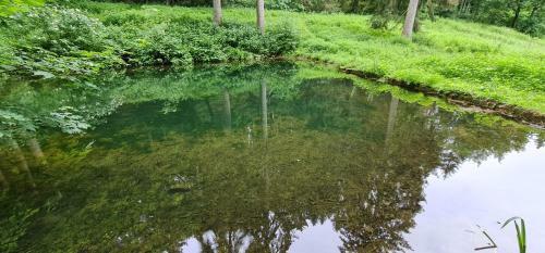 Agroturismo D'muppemillen