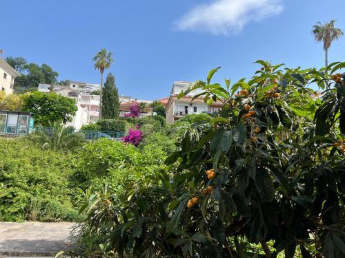 Apartment Giovanna