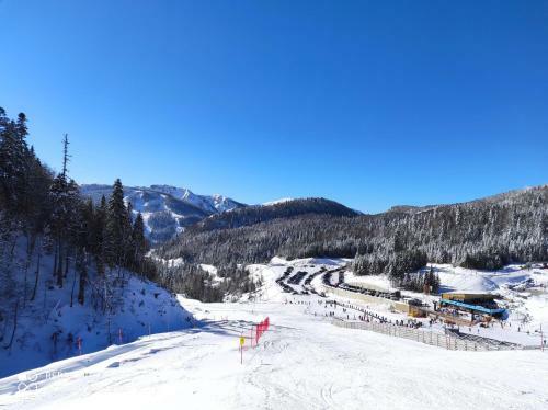 Apartamento Magic Chalet