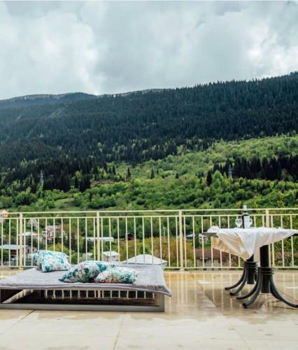 Hotel Freeze Inn Mestia