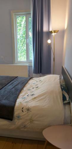 Chanterelle 1