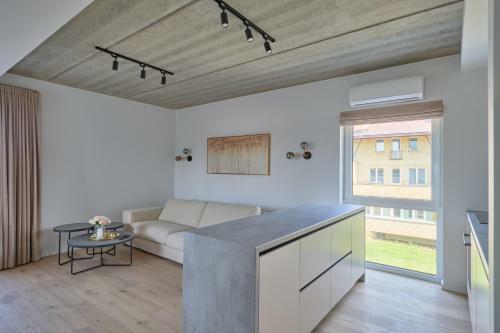 Exceptional Spacious Apartment In ?aliakalnis