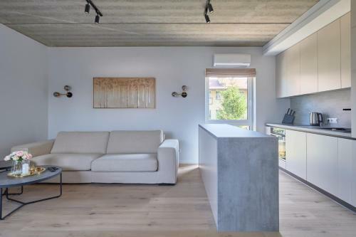 Exceptional Spacious Apartment In ?aliakalnis