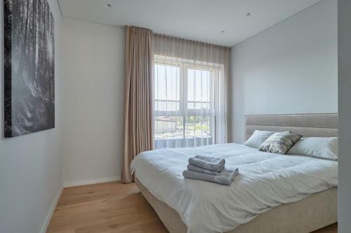 Exceptional Spacious Apartment In ?aliakalnis