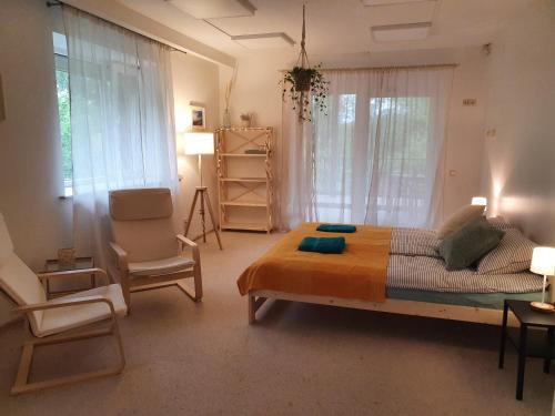 Hostal Surf Inn