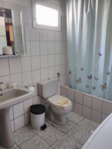 Palm Villa