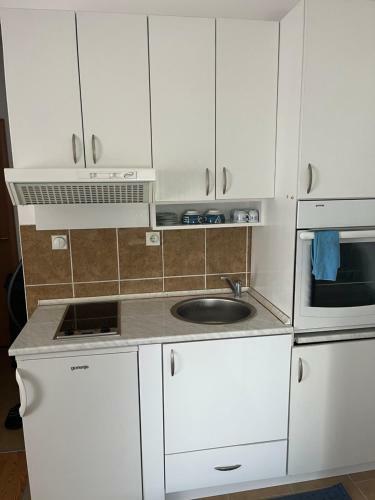 Family Apartment Petrovac