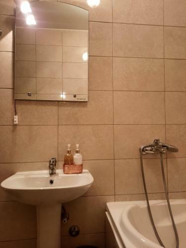 Apartment Jovovic