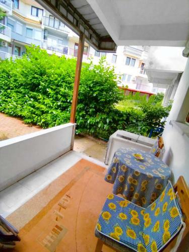 Apartman Coral
