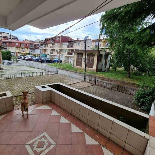 Apartman Ivana