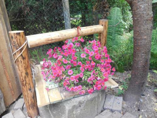 Apartamento Lucky Horse Ranch