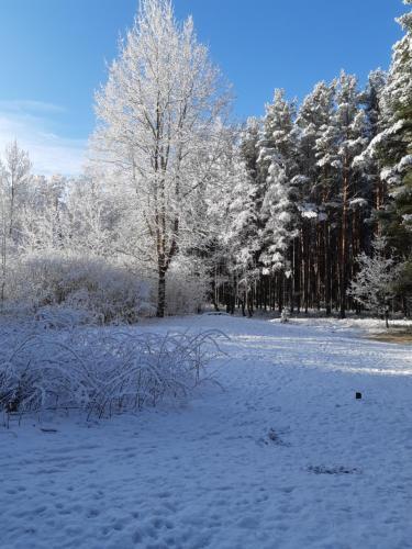 Apartamento Yurmala Relax. Sea/5min,national Forest Park