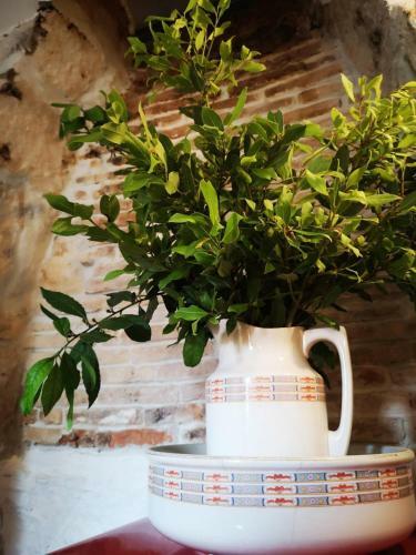 Cres B Studio Apartman