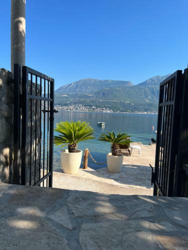 Villa Vila Nikcevic