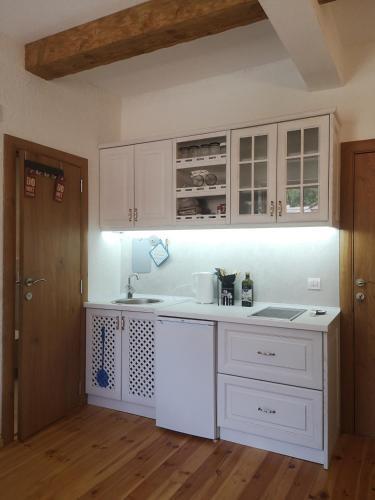 Apartamento Iguana House