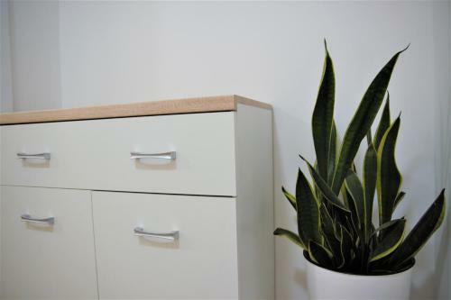Apartamento Central Modern Apt With Garden
