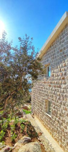 Almond Apartments