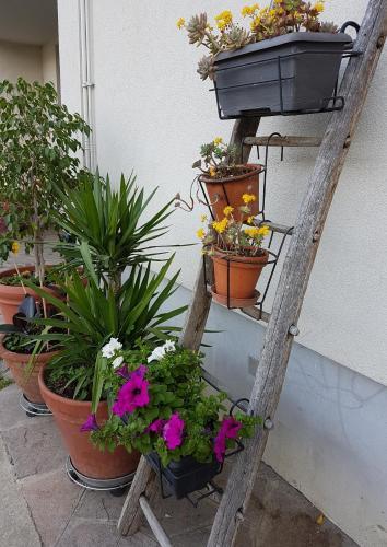 Bed & Breakfast Ai Due Vecchi Ulivi