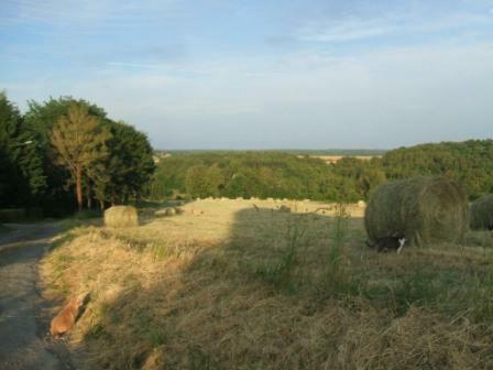 G�te Chez Marot