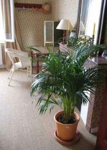 Hostal Chateau Fayolle-luzac