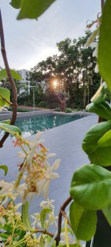 Luxury Apartment Stefanija