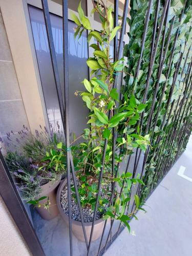 Tivat City Apartment