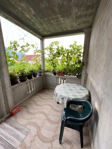 Apartments Odrina