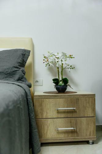 Hotel Apartment Shkreli
