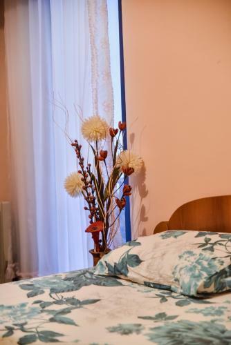 Apartment Monika