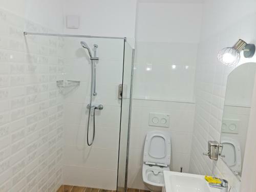Apartament Antik No6 Alba Iulia