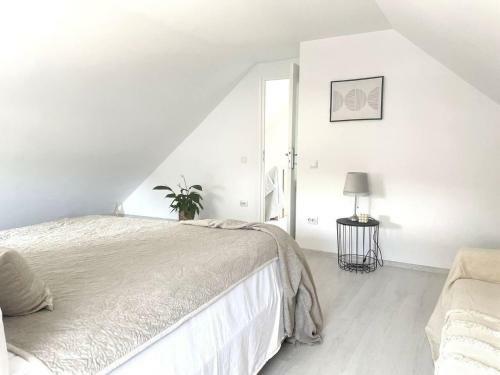 Spacious House And Bright House In Sighisoara