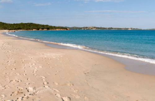 Monolocale In Costa Smeralda